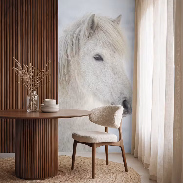 Paard - Kop - Winter - Dieren - Wit Behang Vlies klein -sfeer1