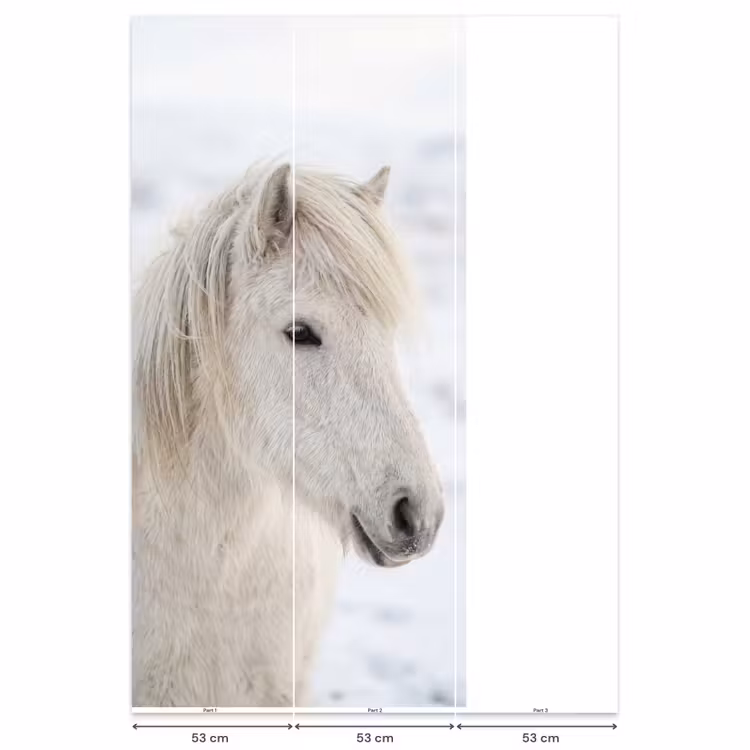 Paard - Kop - Winter - Dieren - Wit Behang Vlies klein -USP_banen