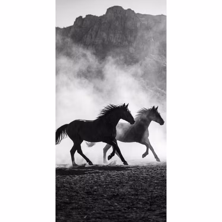 Paard - Ren - Stof - Zwart-wit - Dieren Behang Vlies klein -3d_website