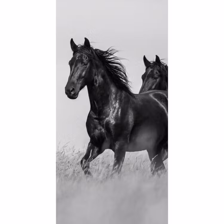 Paarden - Gras - Zwart - Wit Behang Vlies klein -3d_website