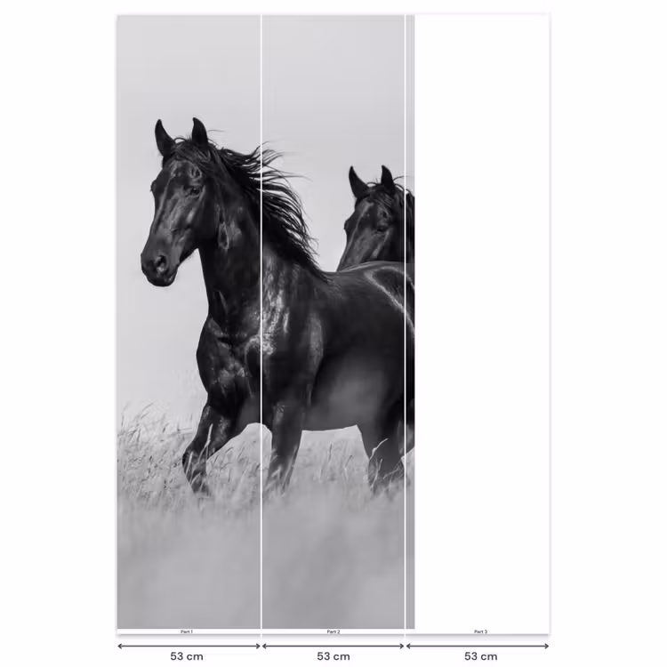 Paarden - Gras - Zwart - Wit Behang Vlies klein -USP_banen