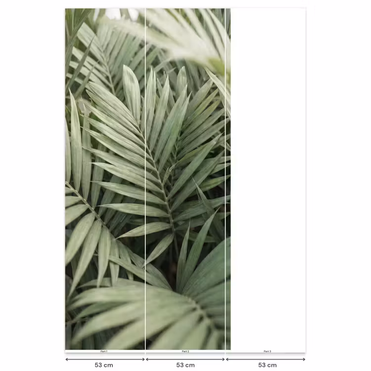Plant - Palmbladeren - Natuur - Groen Behang Vlies klein -USP_banen