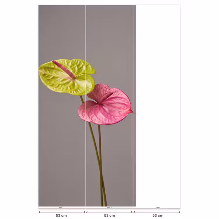 Planten - Anthurium - Groen - Roze Behang Vlies klein -USP_banen