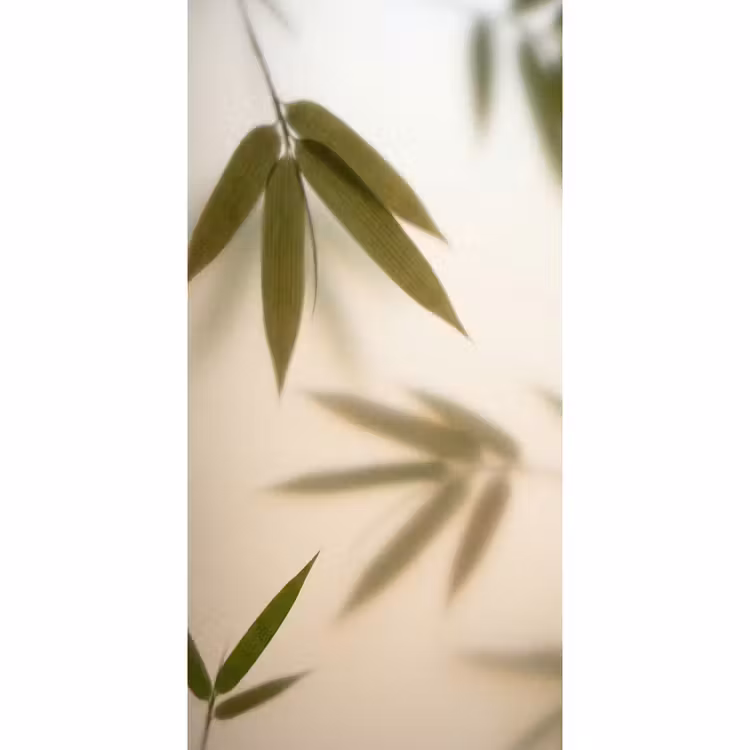 Planten - Bladeren - Natuur - Groen Behang Vlies klein -3d_website