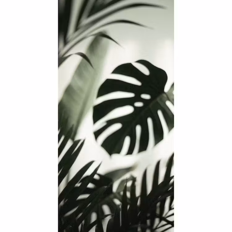 Planten - Bladeren - Natuur - Minimalistisch - Groen Behang Vlies klein -3d_website