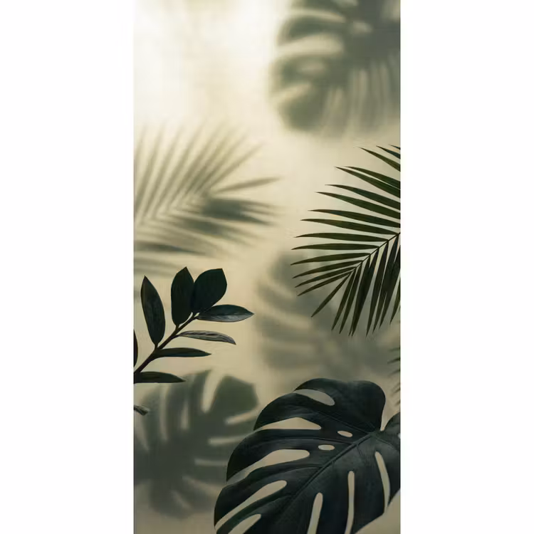 Planten - Bladeren - Schaduwen - Groen - Modern Behang Vlies klein -3d_website