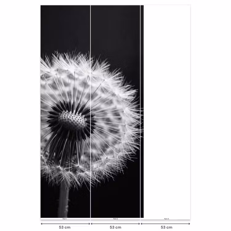 Paardenbloem - Zwart - Wit Behang Vlies klein -USP_banen