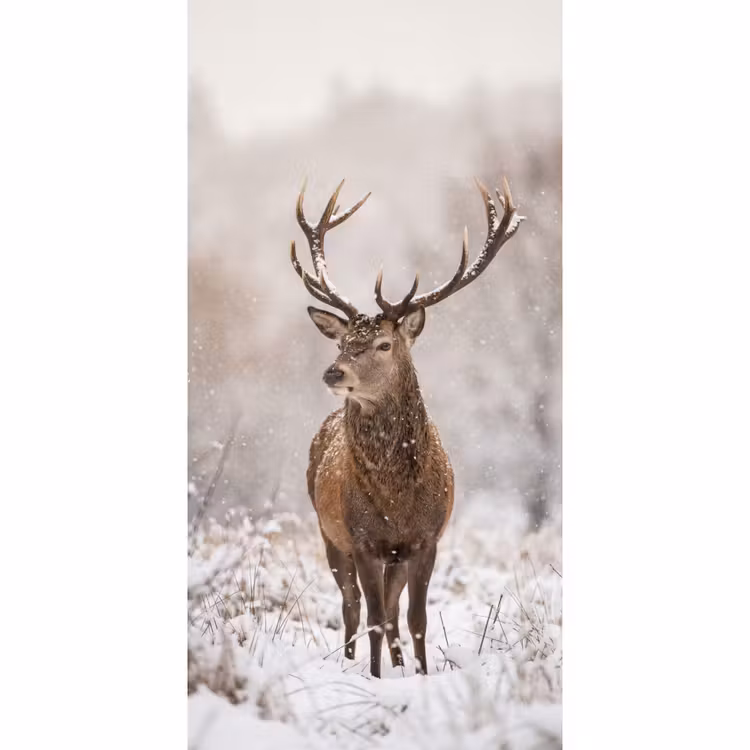 Edelhert - Bos - Sneeuw - Winter - Majestueus Behang Vlies klein -3d_website
