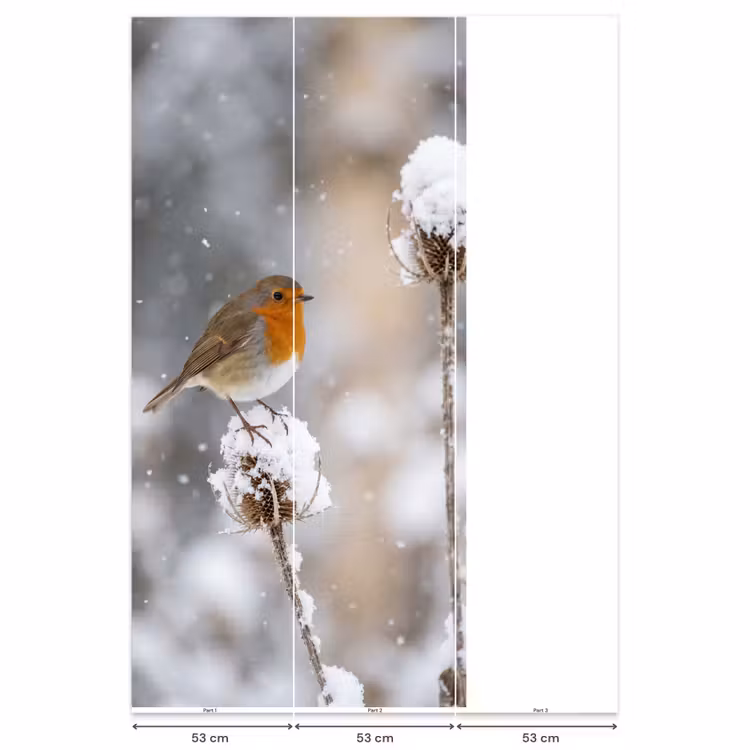 Roodborstje - Gedroogde bloem - Sneeuw - Winter - Vertederend Behang Vlies klein -USP_banen