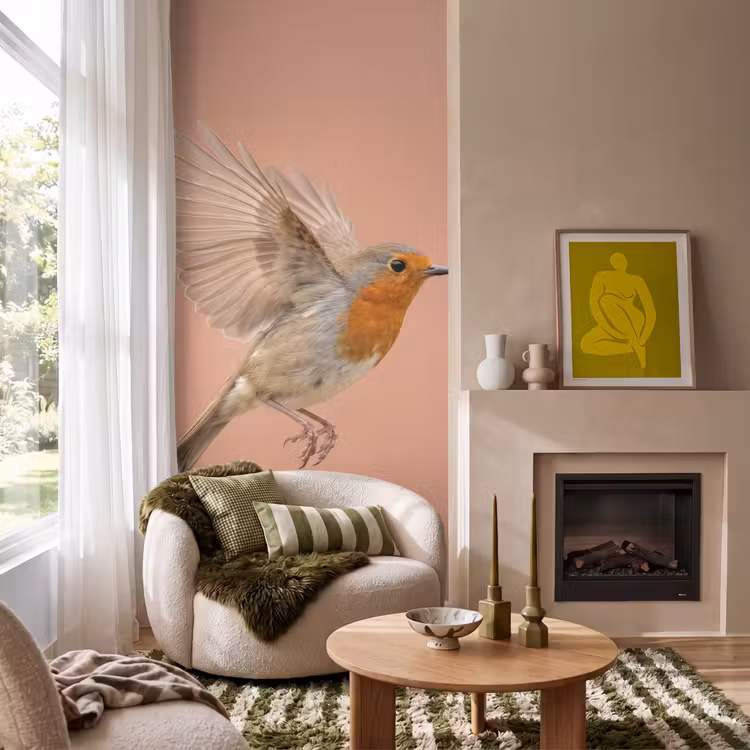 Roodborst - Natuur - Roze Behang Vlies klein -sfeer2