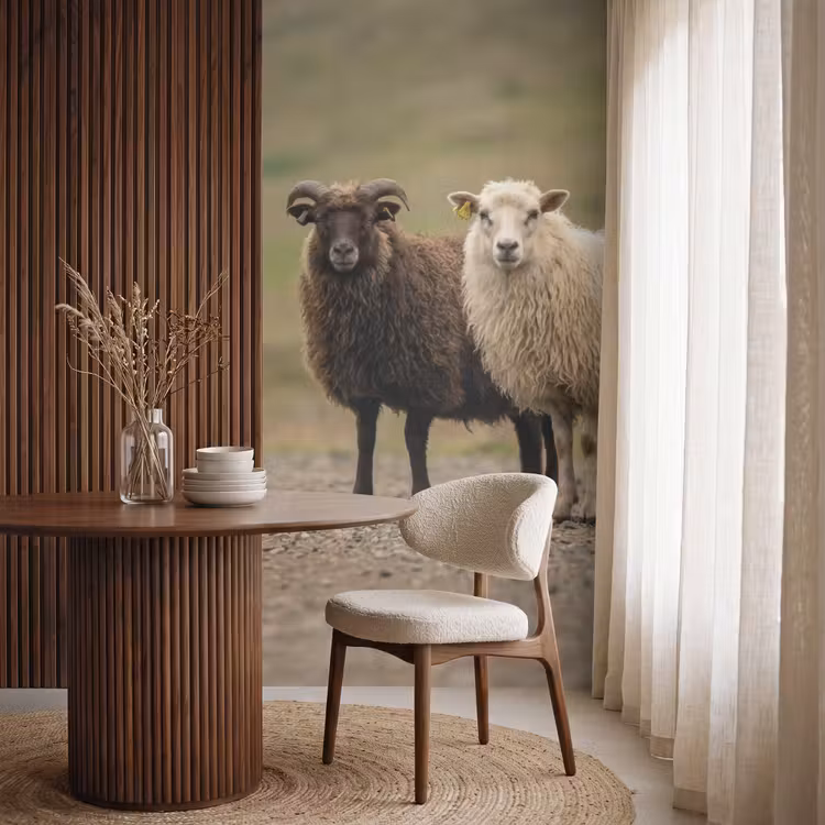 Schapen - Bruin - Wit - Grindpad Behang Vlies klein -sfeer1