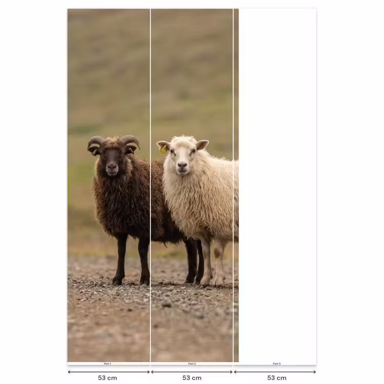 Schapen - Bruin - Wit - Grindpad Behang Vlies klein -USP_banen