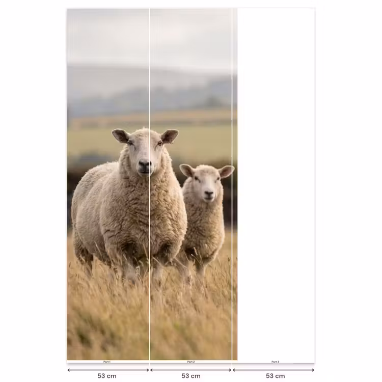 Schapen - Weidenlandschap - Heuvels Behang Vlies klein -USP_banen