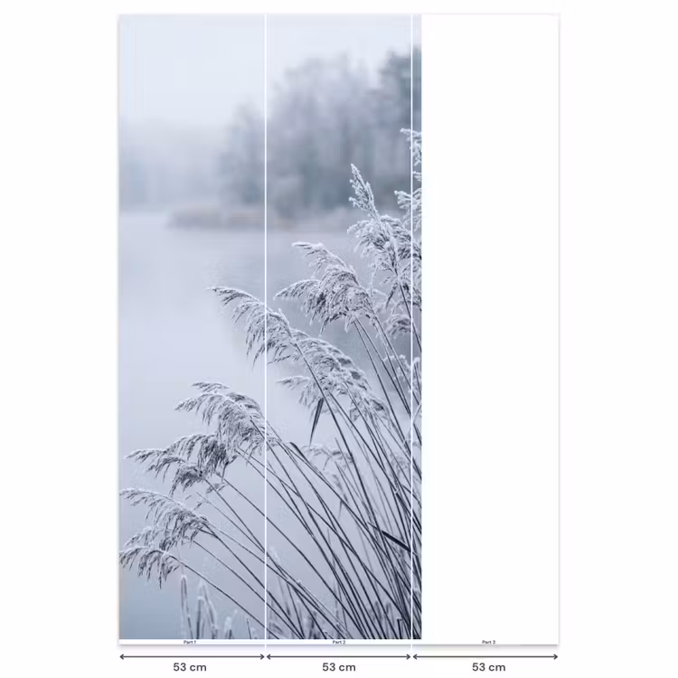 Riet - Bevroren - Winter - Natuur Behang Vlies klein -USP_banen