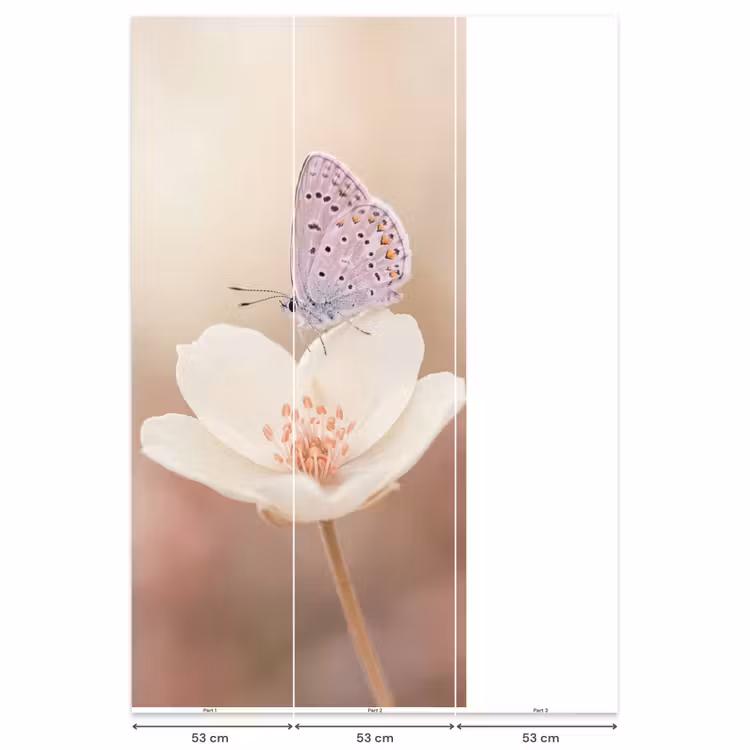 Vlinder - Bloem - Blauw Behang Vlies klein -USP_banen