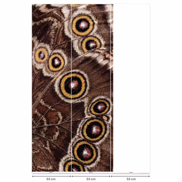 Vlinder - Vleugel - Abstract Behang Vlies klein -USP_banen