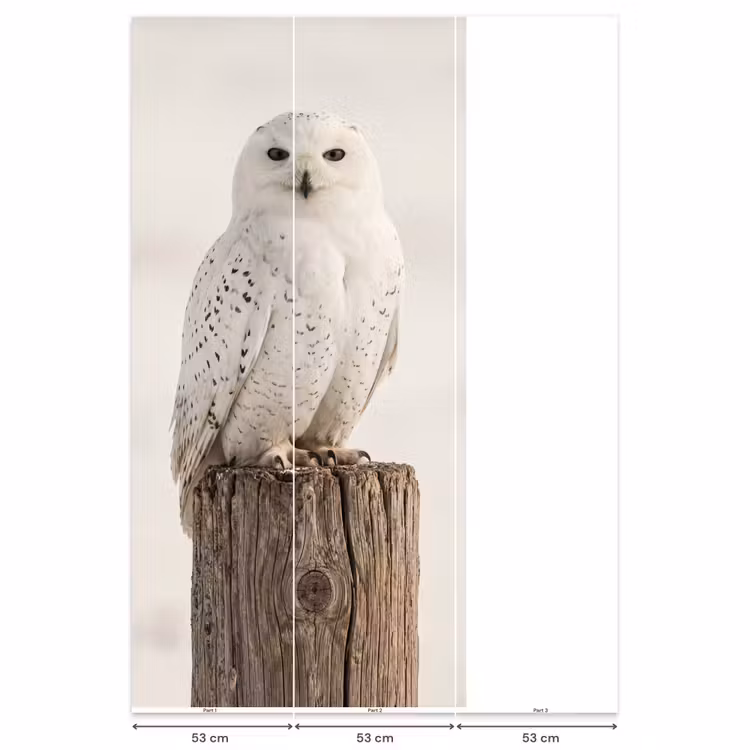 Sneeuwuil - Paal - Winter - Portret - Majestueus Behang Vlies klein -USP_banen