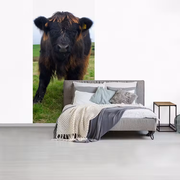 Schotse hooglander - Koeien - Natuur - Groen - Gras fotobehang vinyl groot -slaapkamer