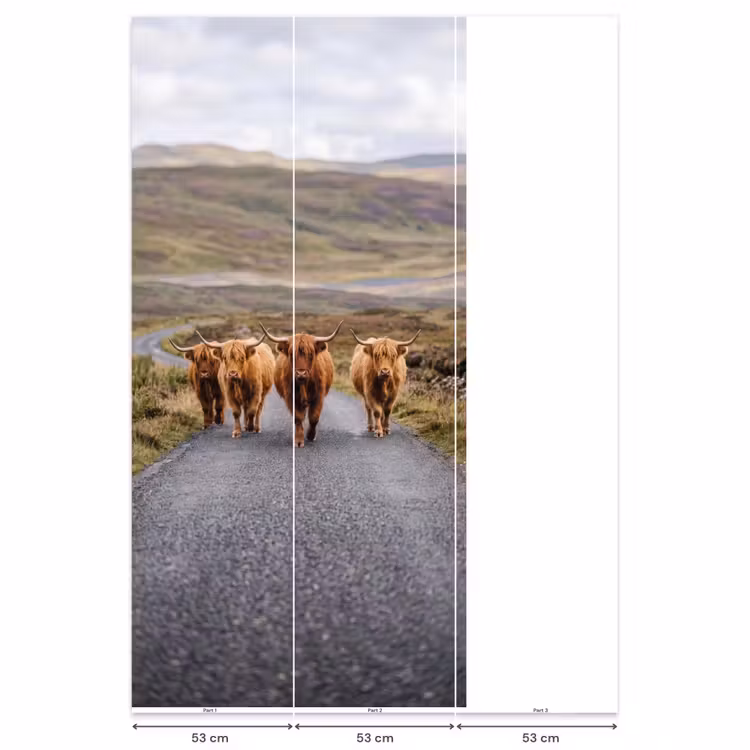 Schotse Hooglanders - Weg - Landschap - Kudde Behang Vlies klein -USP_banen