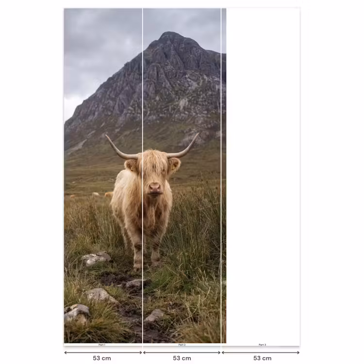 Schotse hooglander - Bergen - Grasveld Behang Vlies klein -USP_banen