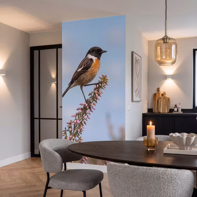 Roodborsttapuit - Heide - Paars - Natuur - Sfeervol Behang Vlies klein -sfeer3