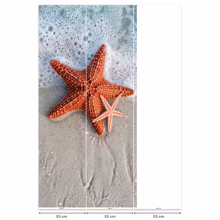 Zeester - Strand - Zee Behang Vlies klein -USP_banen