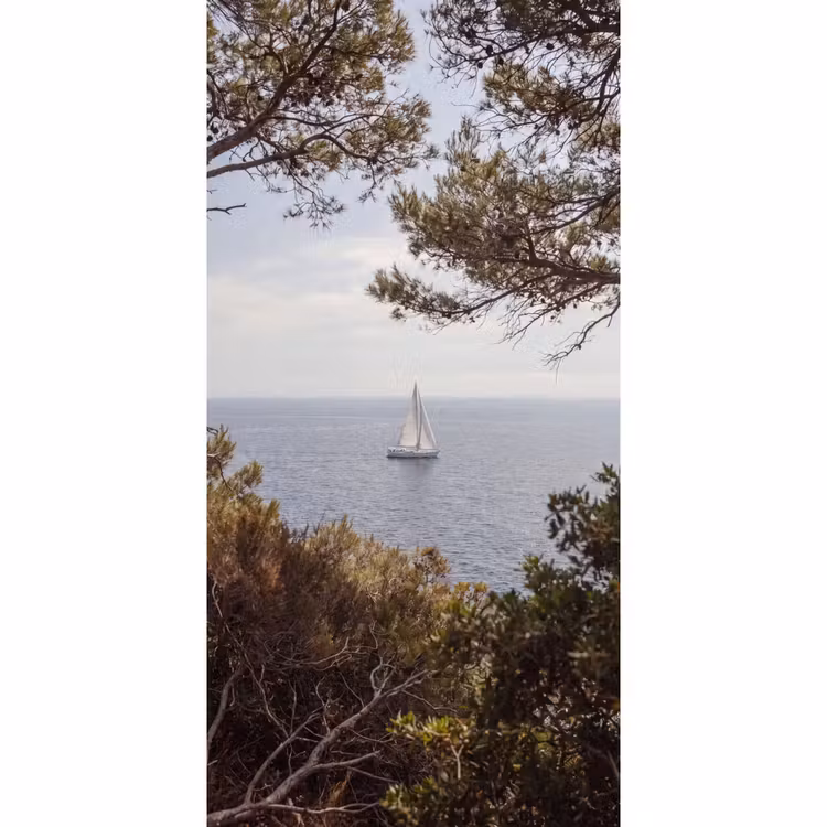 Tapete - Segelboot – Bäume – Wasser - Zeilboot - bomen - water Behang Vlies klein