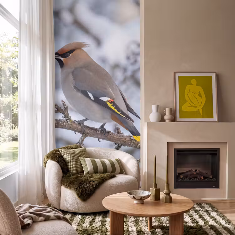 Pestvogel - Bessen - Winter - Natuur Behang Vlies klein -sfeer2