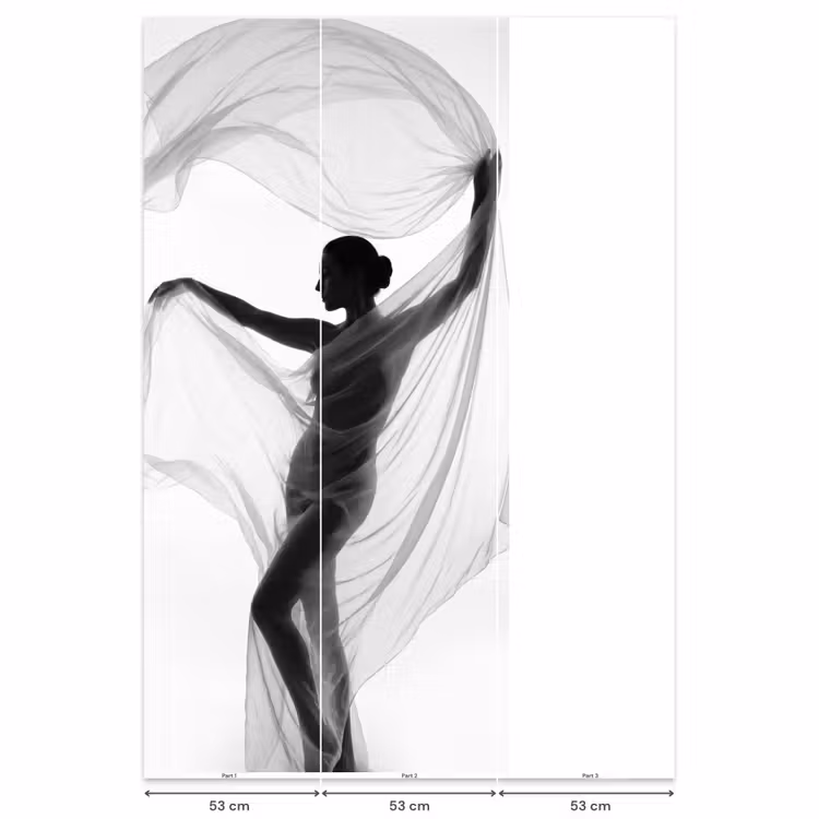 Silhouet - Sluier - Vormen - Zwart - Wit - Sensueel Behang Vlies klein -USP_banen