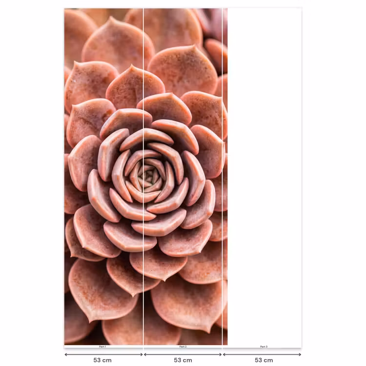 Vetplant - Organisch - Roze Behang Vlies klein -USP_banen