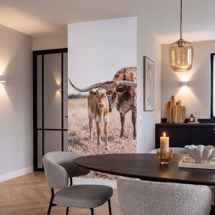 Texas Longhorn - Kalf - Weide - Dieren Behang Vlies klein -sfeer3