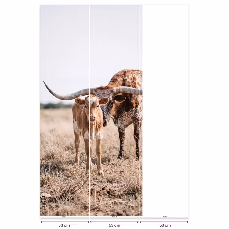 Texas Longhorn - Kalf - Weide - Dieren Behang Vlies klein -USP_banen