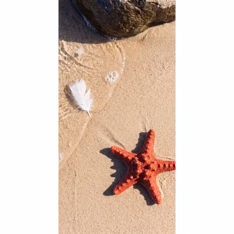 Dieren - Strand - Zee - Natuur - Rood Behang Vlies klein -3d_website