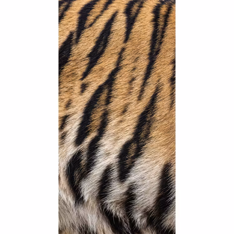 Tijgervacht - Klassiek - Zwart Behang Vlies klein -3d_website