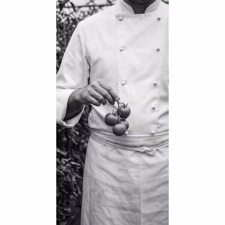 Tomaten - Chef - Zwart - Wit Behang Vlies klein -3d_website