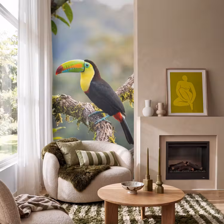 Toekan - Jungle - Natuur - Kleurrijk Behang Vlies klein -sfeer2