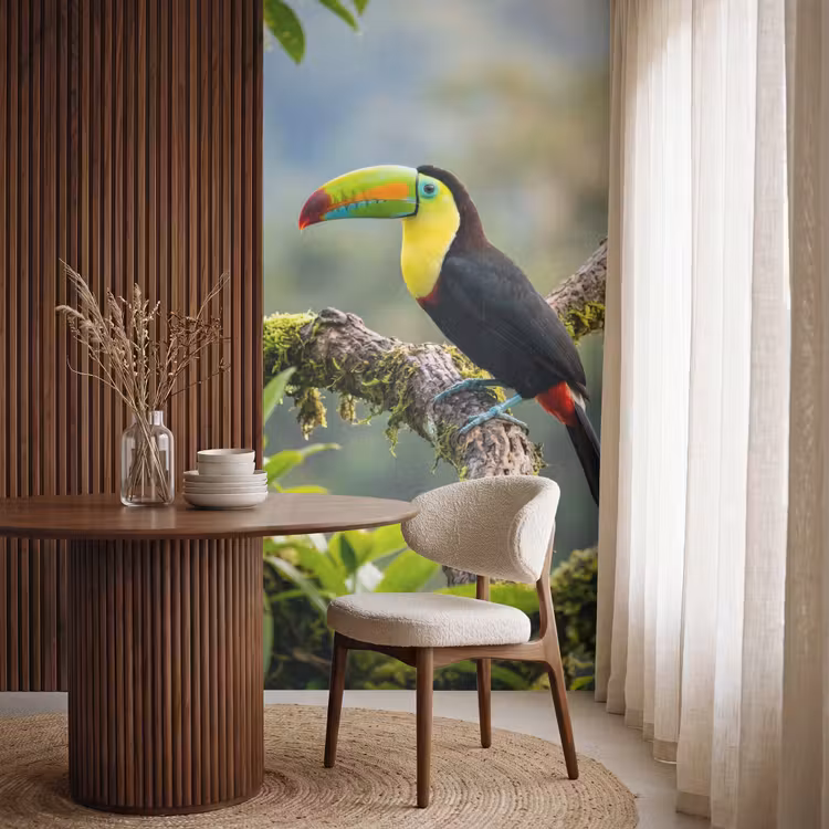 Toekan - Jungle - Natuur - Kleurrijk Behang Vlies klein -sfeer1