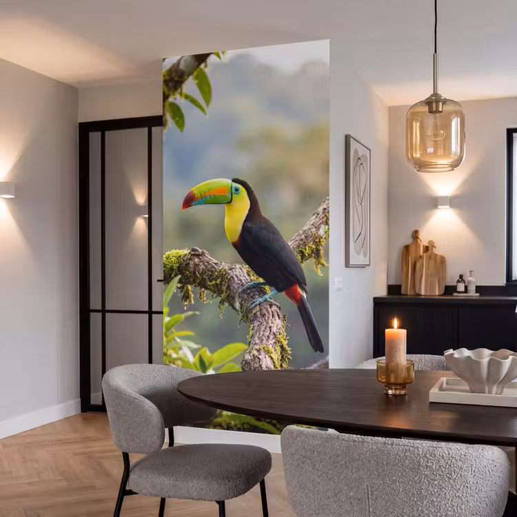 Toekan - Jungle - Natuur - Kleurrijk Behang Vlies klein -sfeer3