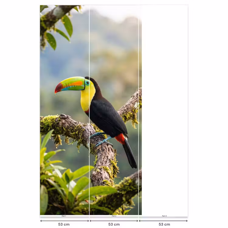 Toekan - Jungle - Natuur - Kleurrijk Behang Vlies klein -USP_banen