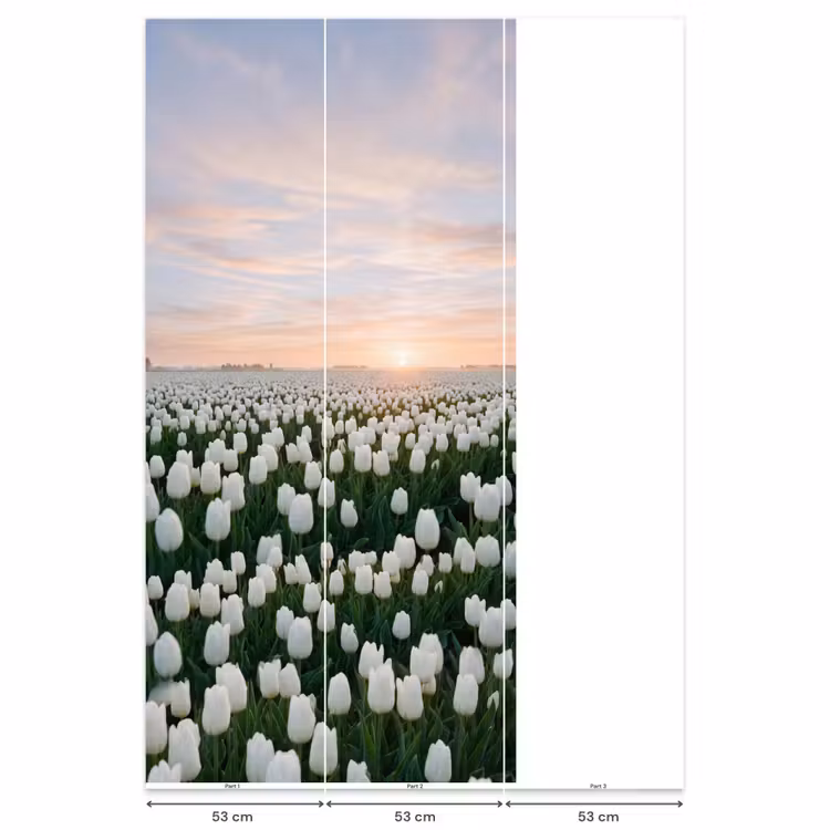Tulpen - Landschap - Wit Behang Vlies klein -USP_banen