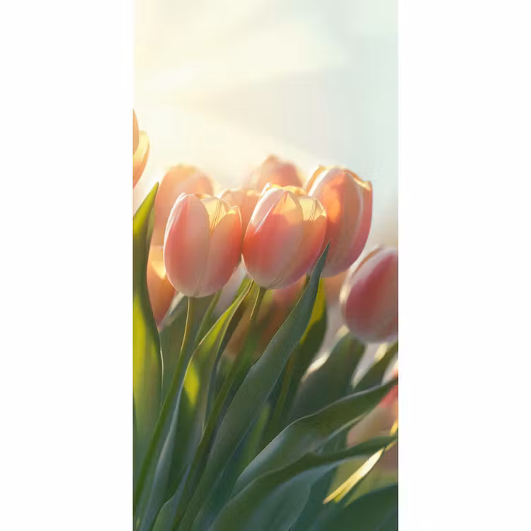 Tulpen - Roze - Zonnestralen Behang Vlies klein -3d_website