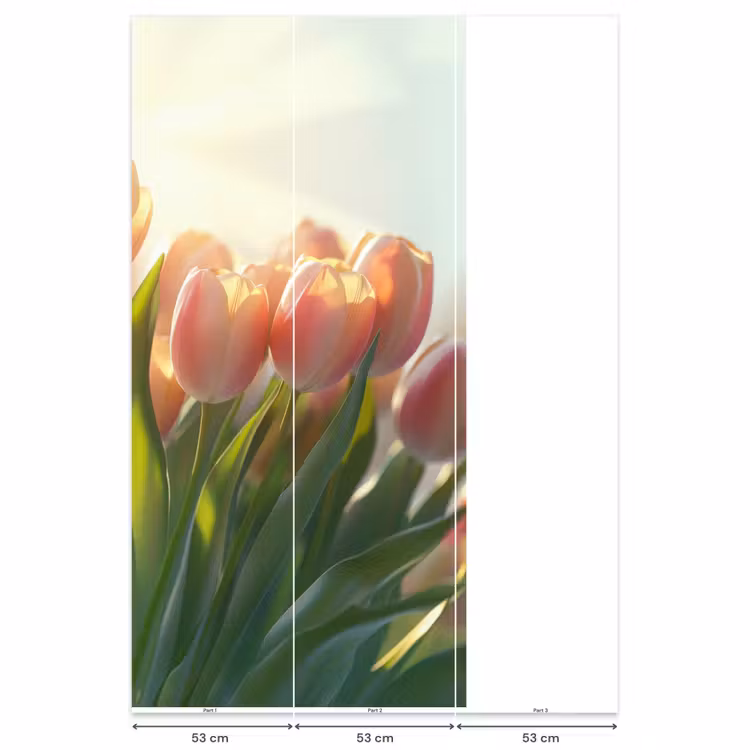 Tulpen - Roze - Zonnestralen Behang Vlies klein -USP_banen