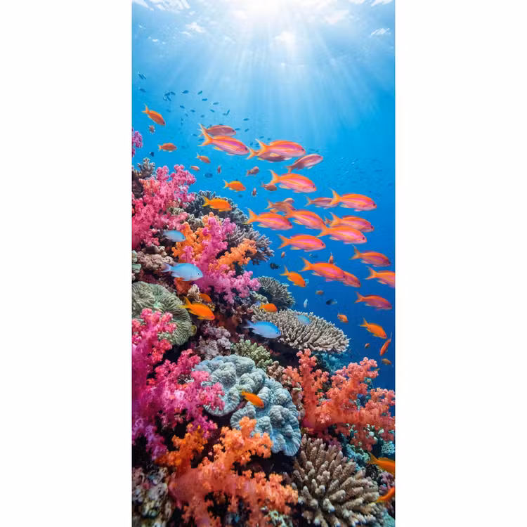 Onderwater - Koraalrif - Vissen - Oceaan - Natuur Behang Vlies klein -3d_website