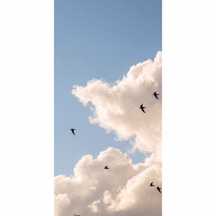 Vogel - Vlucht - Wolken - Natuur - Blauw Behang Vlies klein -3d_website