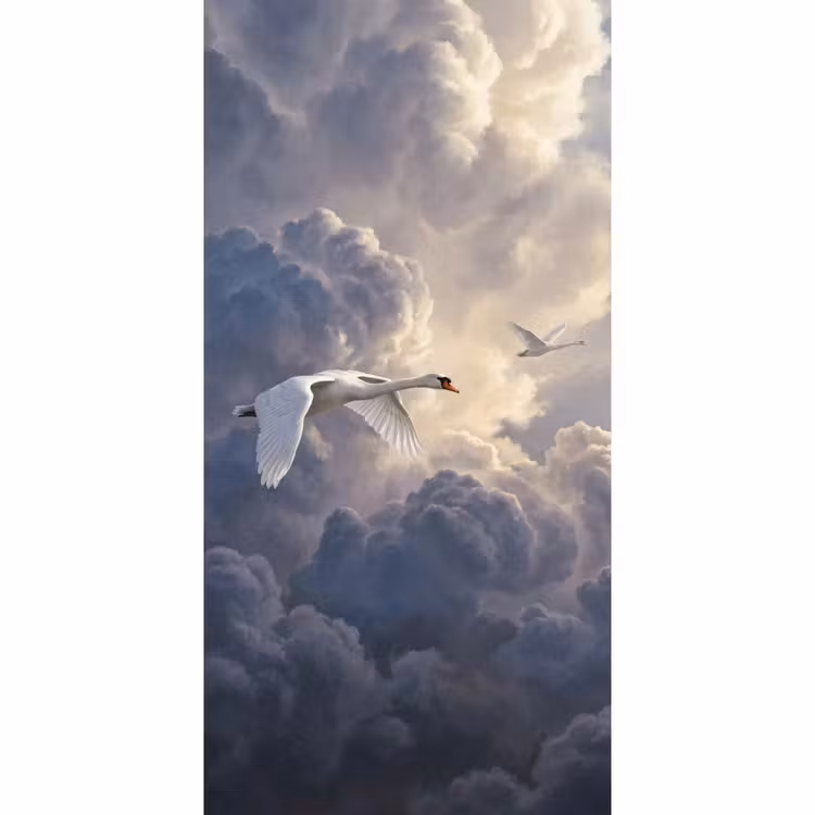 Vogel - Vliegend - Natuur - Wit - Wolken Behang Vlies klein -3d_website