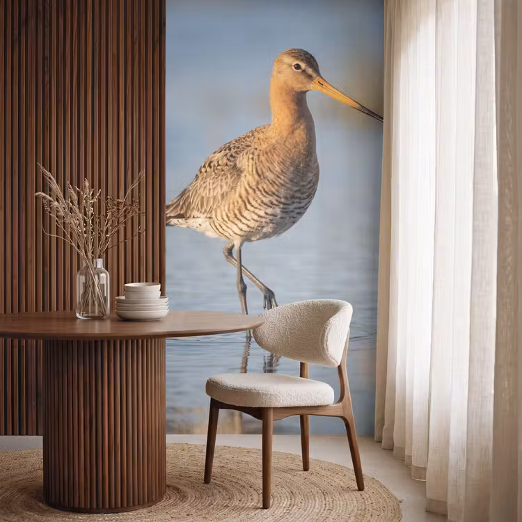 Vogel - Steltloper - Water - Natuur Behang Vlies klein -sfeer1
