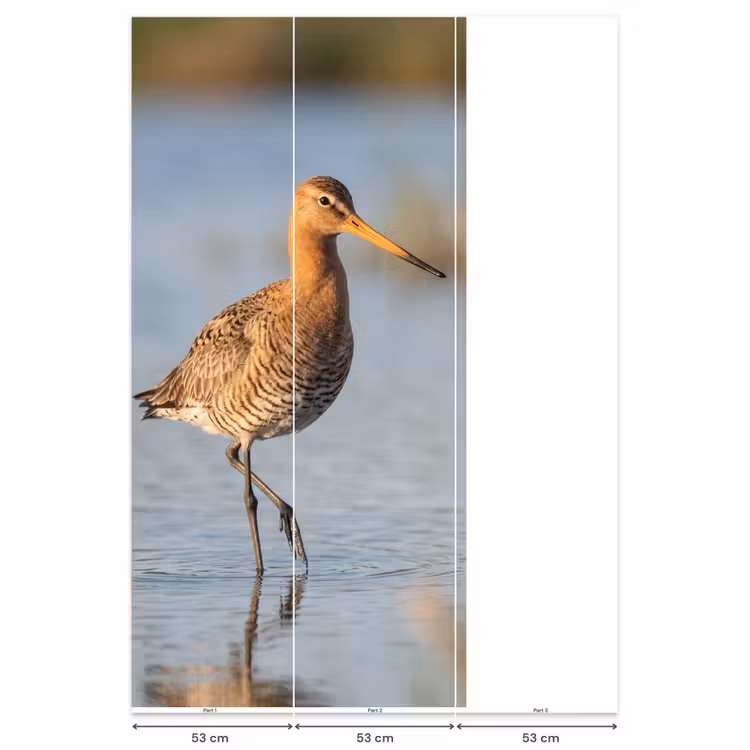 Vogel - Steltloper - Water - Natuur Behang Vlies klein -USP_banen