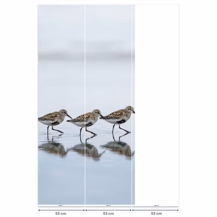 Vogels - Water - Grijs Behang Vlies klein -USP_banen