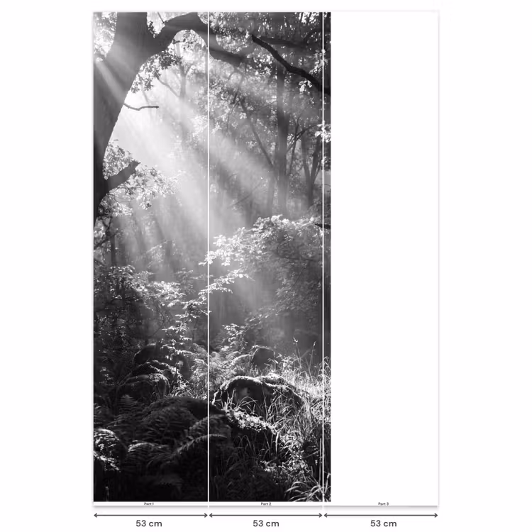 Bos - Lichtstralen - Natuur - Zwart-wit Behang Vlies klein -USP_banen