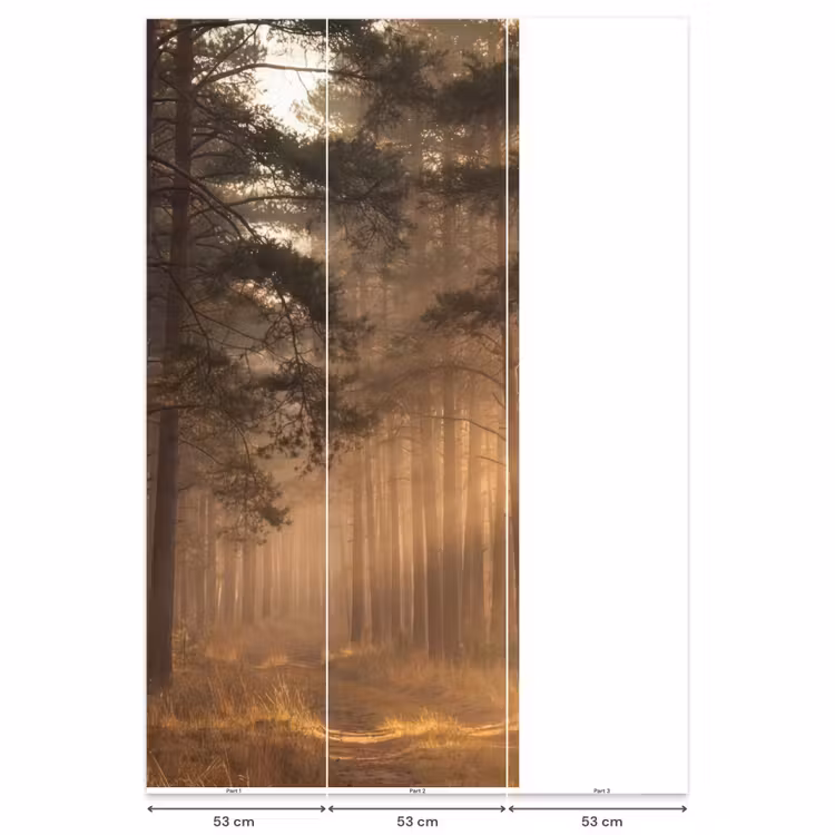 Bos - Mist - Zonlicht Behang Vlies klein -USP_banen